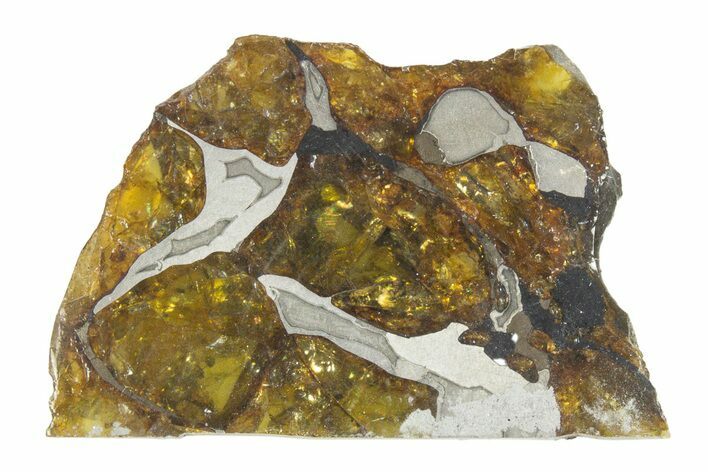 Polished Imilac Pallasite Meteorite ( g) Slice #315423